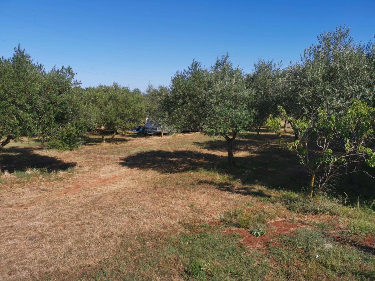 Jacuzi Cottage In The Olive Grove Pula Exteriör bild