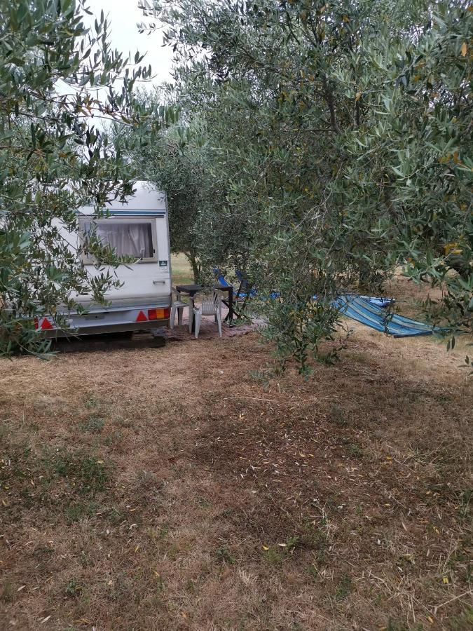 Jacuzi Cottage In The Olive Grove Pula Exteriör bild