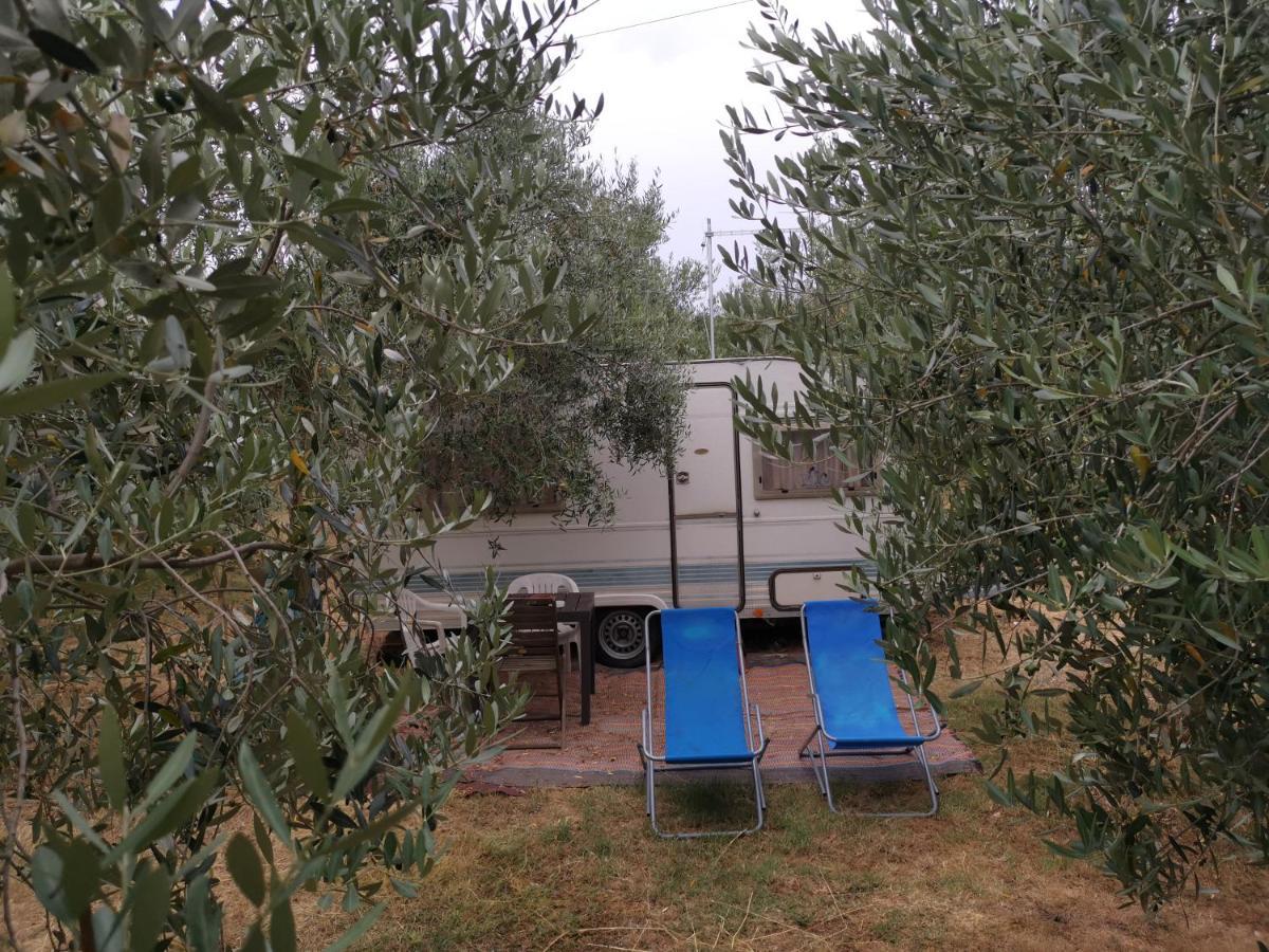 Jacuzi Cottage In The Olive Grove Pula Exteriör bild