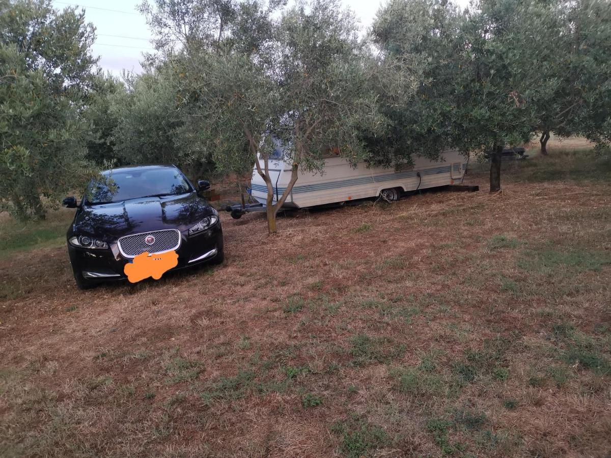 Jacuzi Cottage In The Olive Grove Pula Exteriör bild