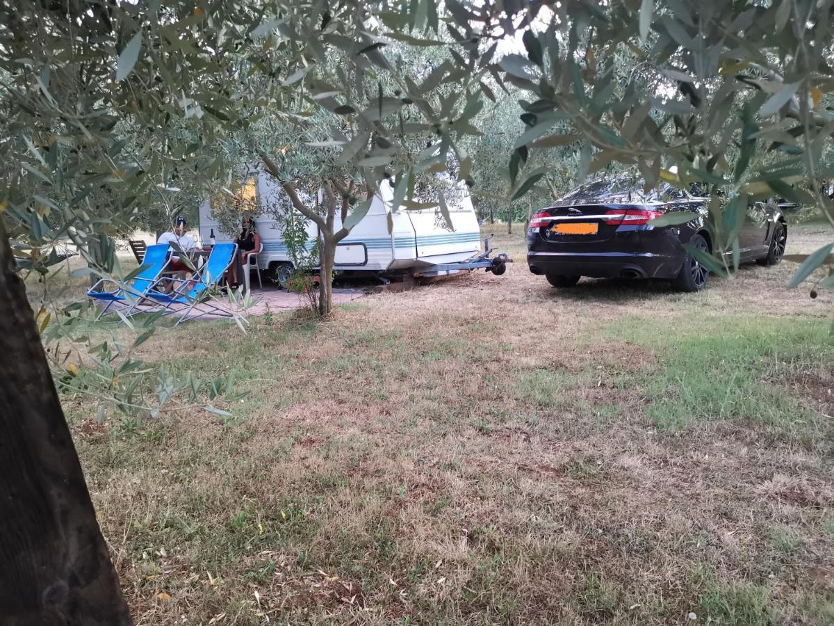 Jacuzi Cottage In The Olive Grove Pula Exteriör bild