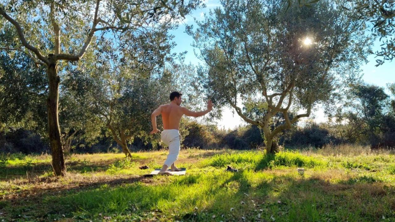 Jacuzi Cottage In The Olive Grove Pula Exteriör bild