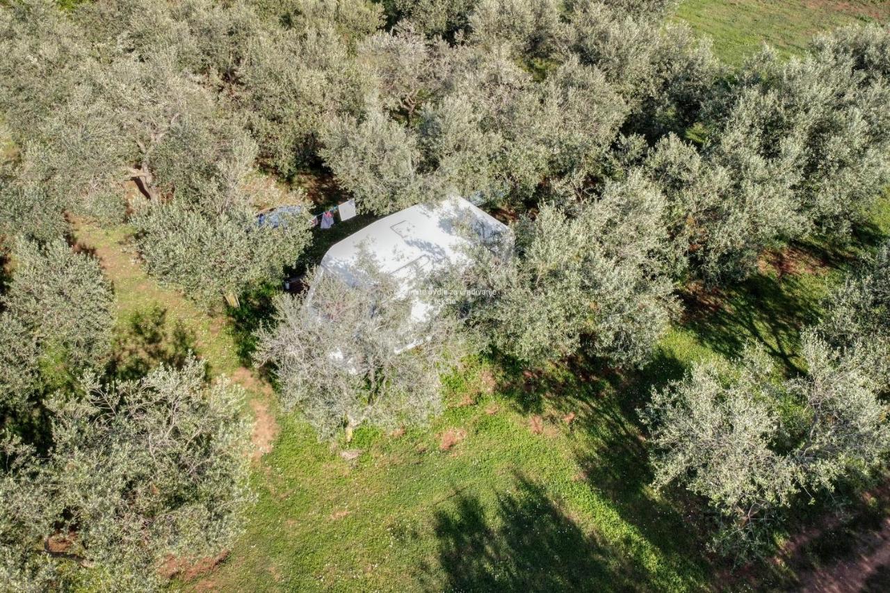 Jacuzi Cottage In The Olive Grove Pula Exteriör bild