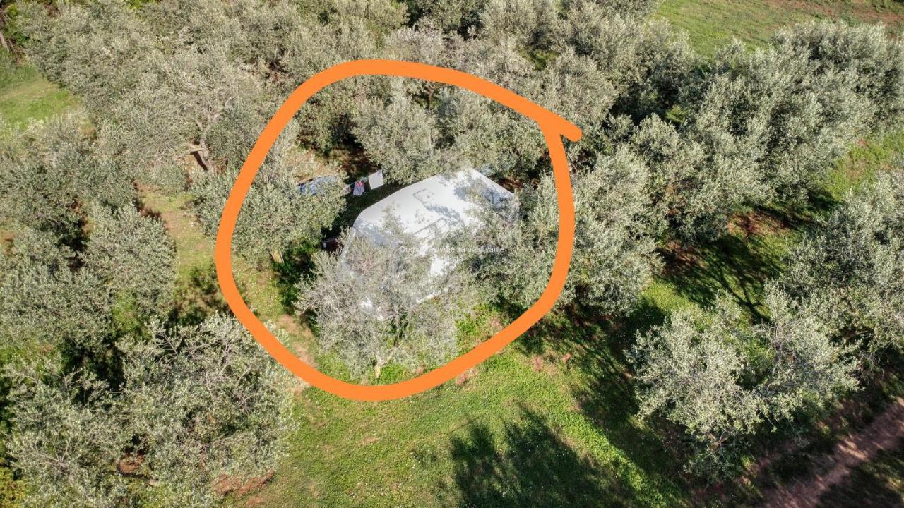 Jacuzi Cottage In The Olive Grove Pula Exteriör bild