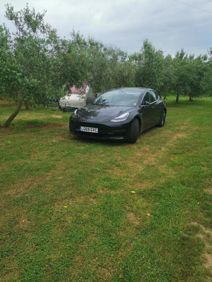 Jacuzi Cottage In The Olive Grove Pula Exteriör bild